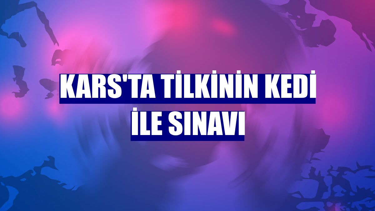 Kars'ta tilkinin kedi ile sınavı