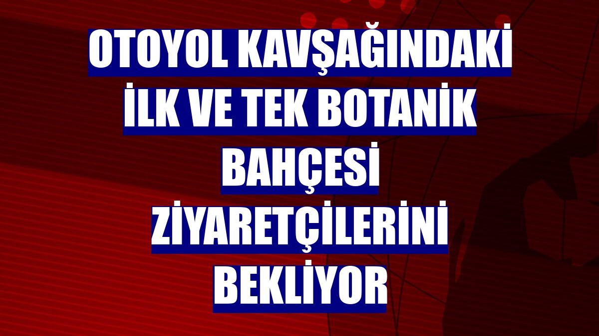 Otoyol kavşağındaki ilk ve tek botanik bahçesi ziyaretçilerini bekliyor