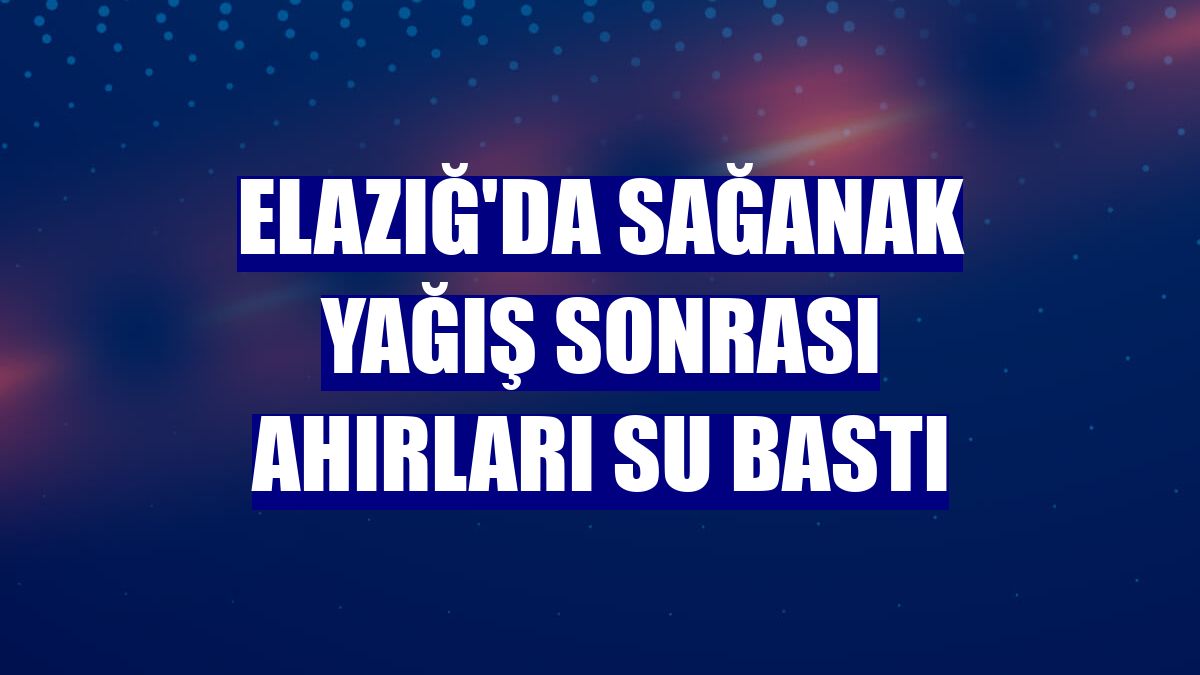 Elazığ'da sağanak yağış sonrası ahırları su bastı