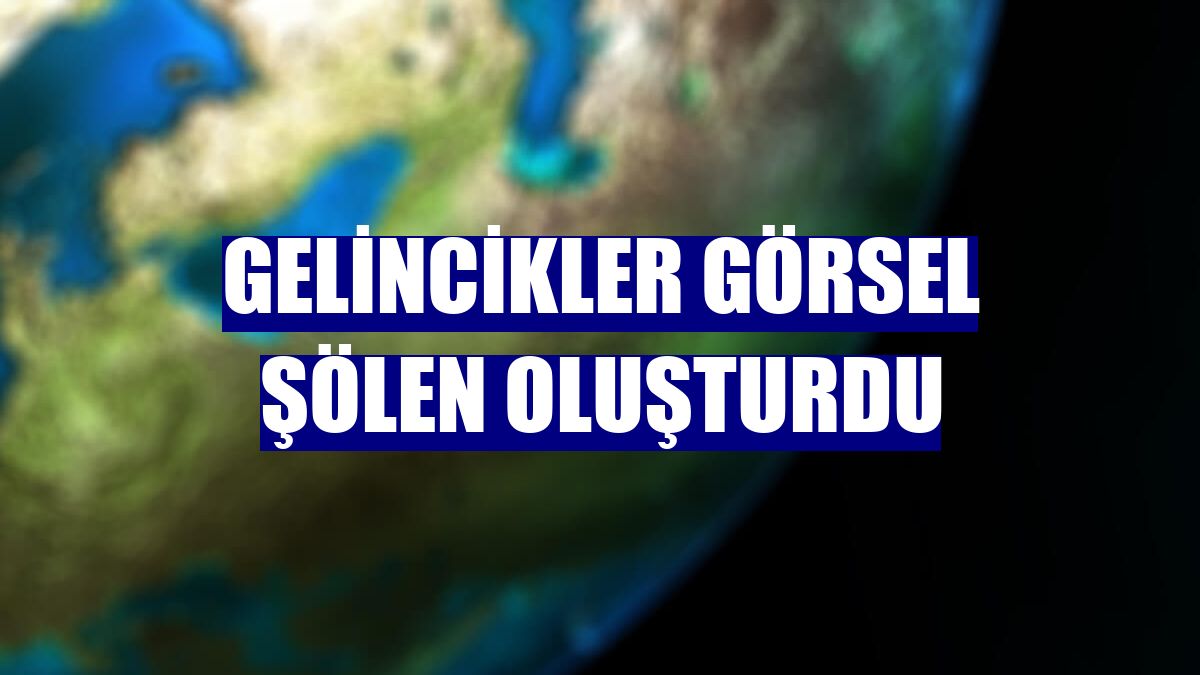 Gelincikler görsel şölen oluşturdu