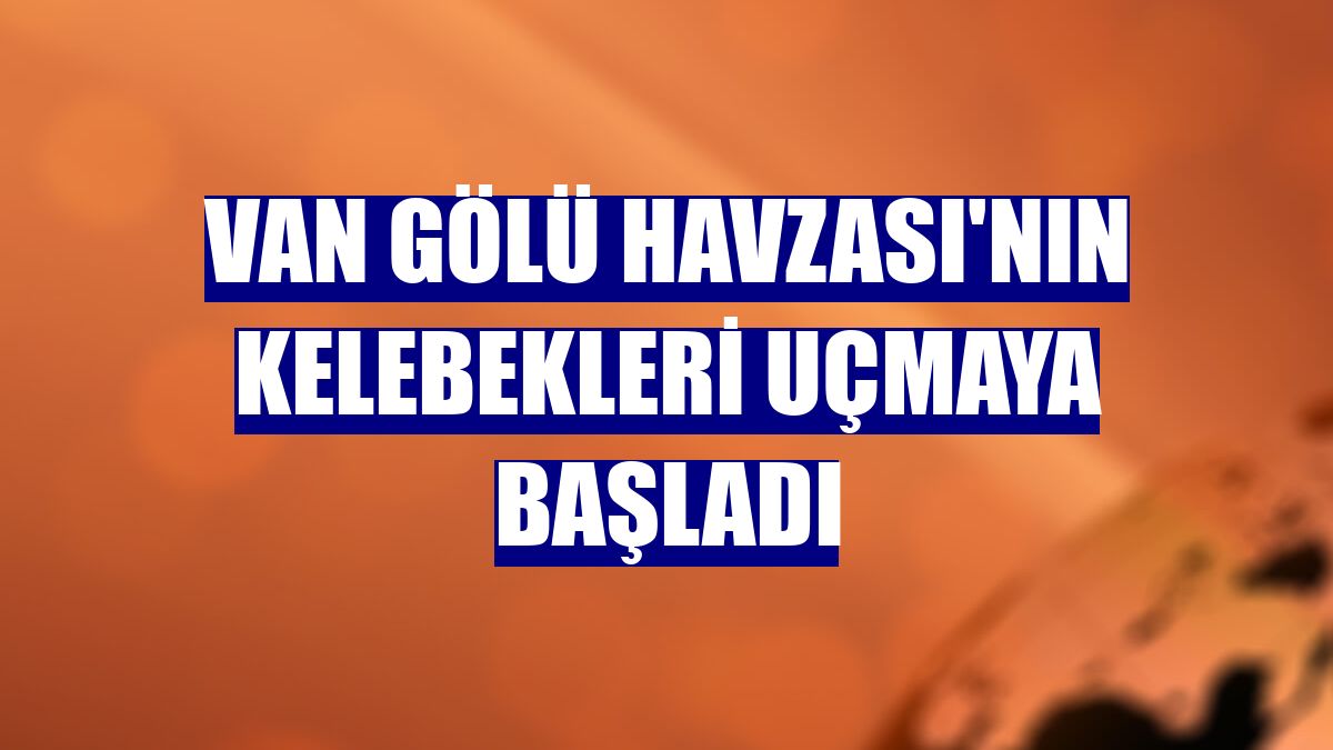 Van Gölü Havzası'nın kelebekleri uçmaya başladı