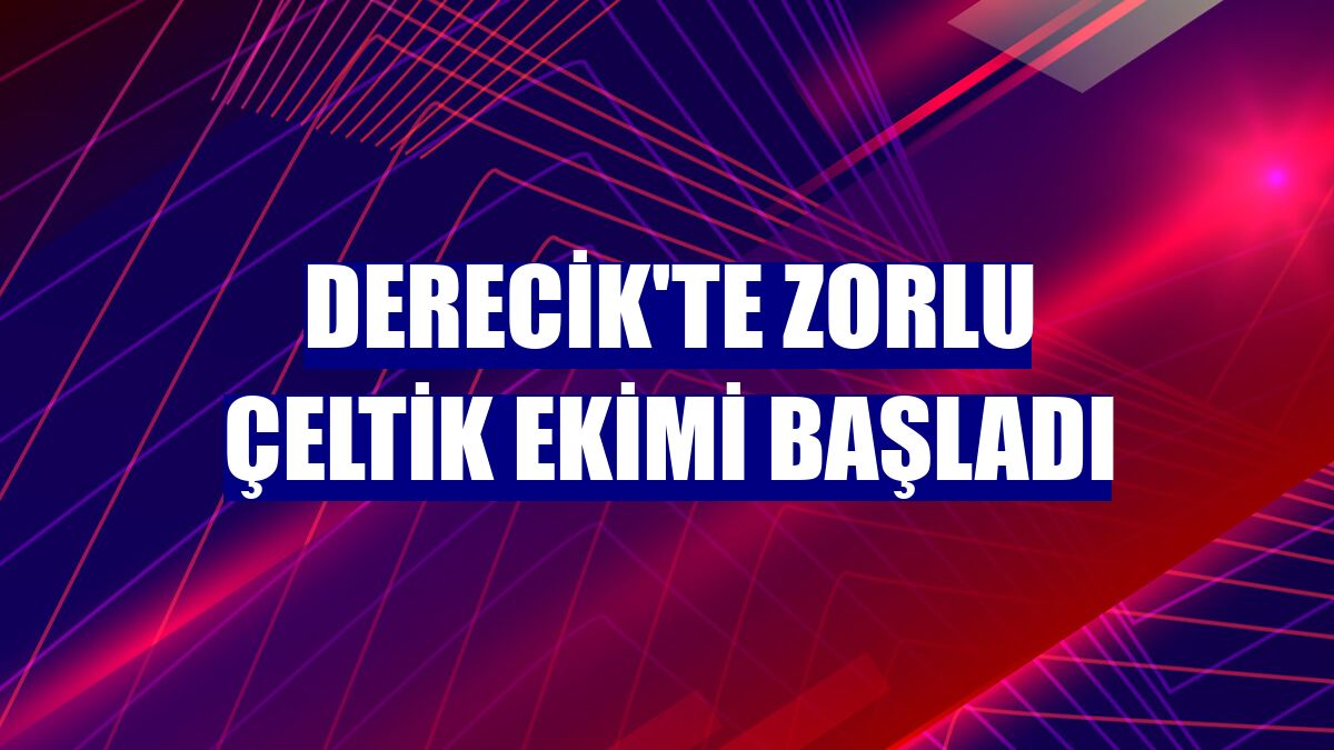 Derecik'te zorlu çeltik ekimi başladı