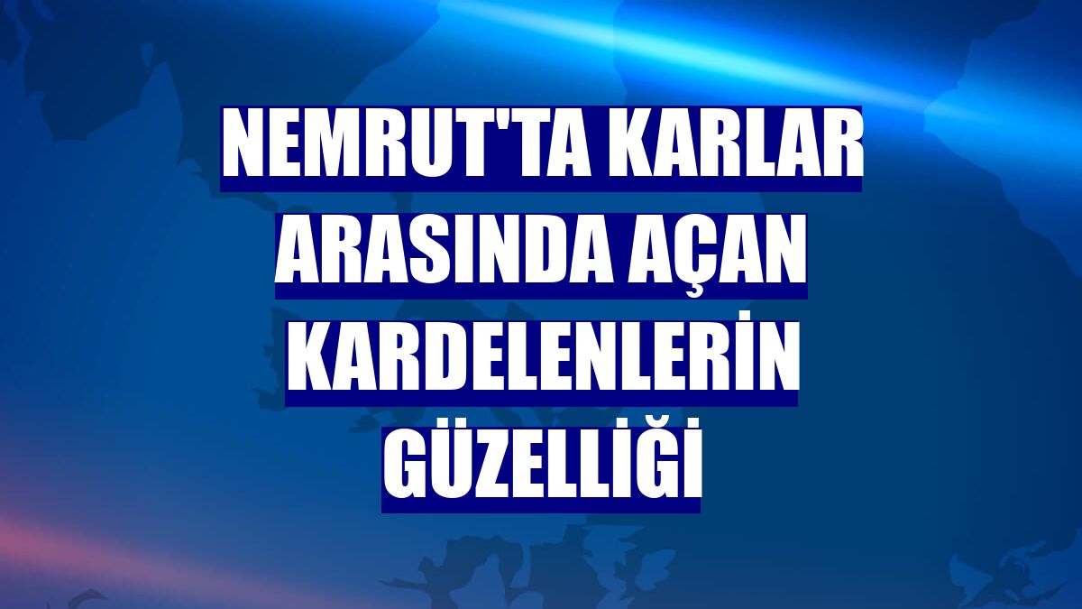 Nemrut'ta karlar arasında açan kardelenlerin güzelliği