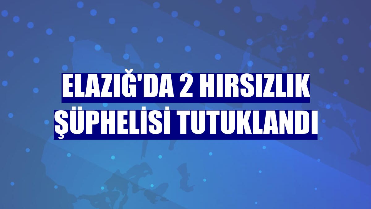 Elazığ'da 2 hırsızlık şüphelisi tutuklandı