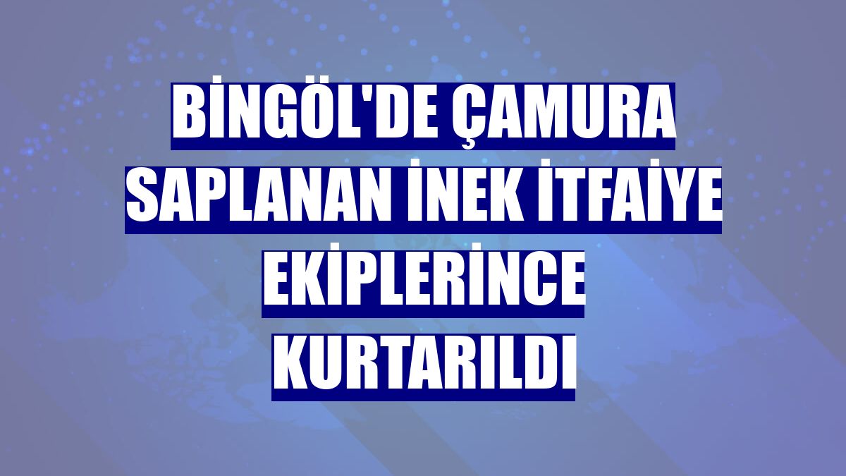 Bingöl'de çamura saplanan inek itfaiye ekiplerince kurtarıldı