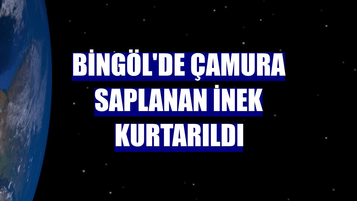 Bingöl'de çamura saplanan inek kurtarıldı