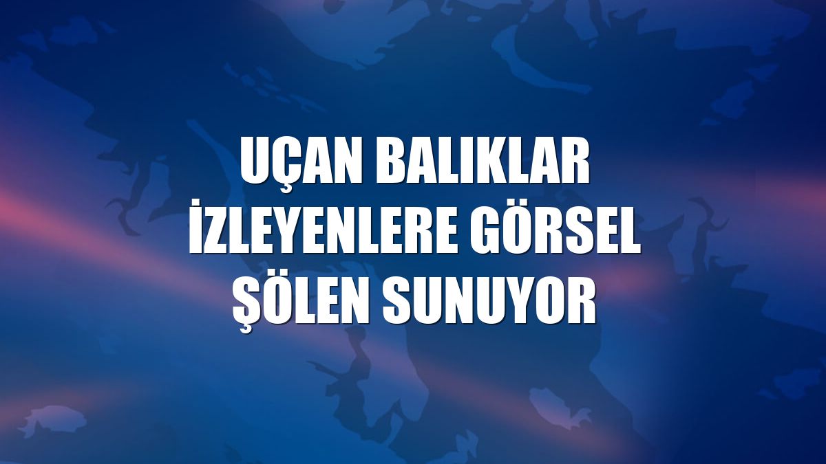 Uçan balıklar izleyenlere görsel şölen sunuyor