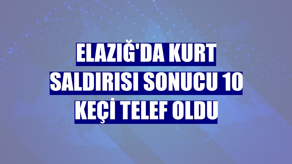 Elazığ'da kurt saldırısı sonucu 10 keçi telef oldu