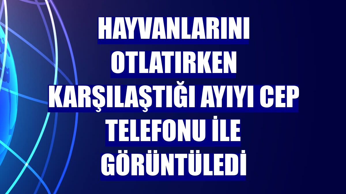 Hayvanlarını otlatırken karşılaştığı ayıyı cep telefonu ile görüntüledi