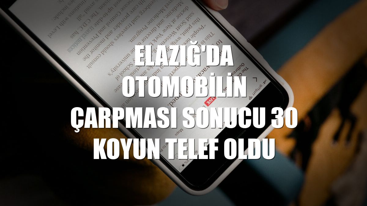 Elazığ'da otomobilin çarpması sonucu 30 koyun telef oldu