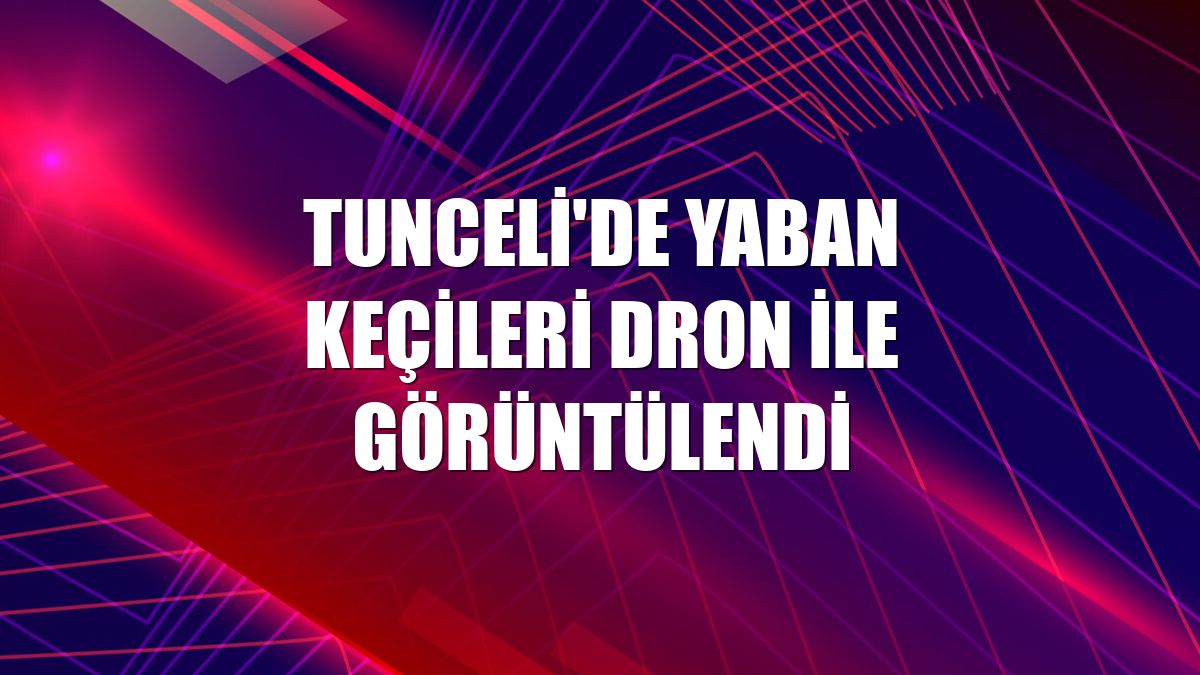 Tunceli'de yaban keçileri dron ile görüntülendi