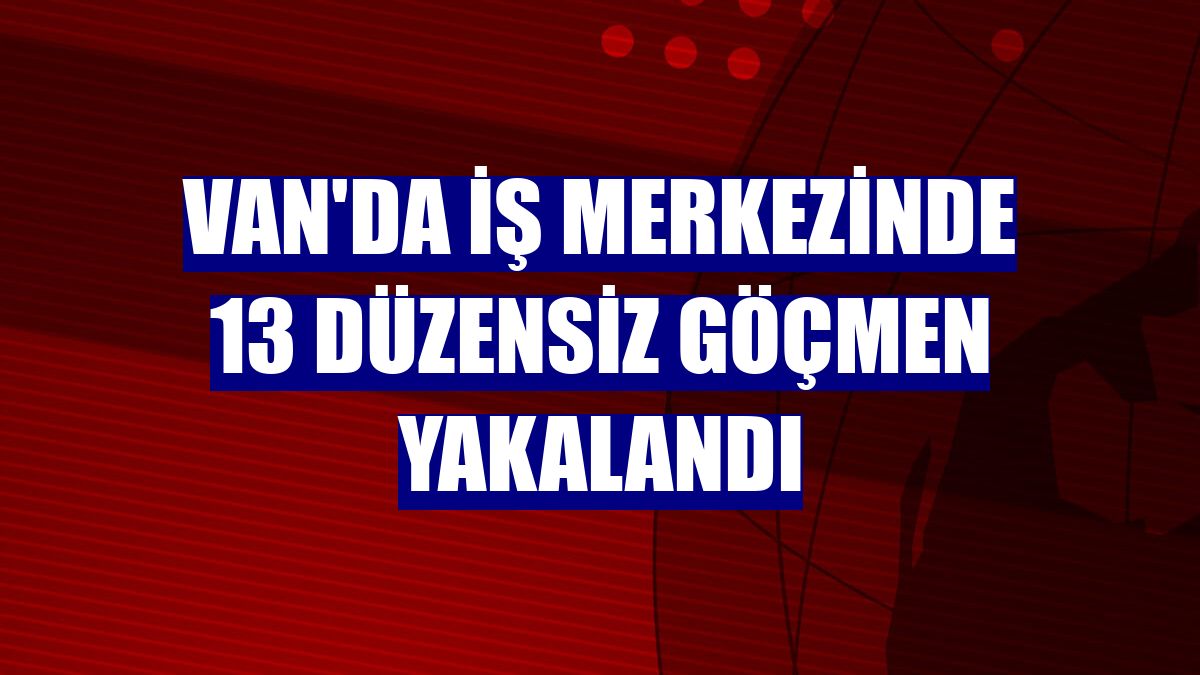 Van'da iş merkezinde 13 düzensiz göçmen yakalandı