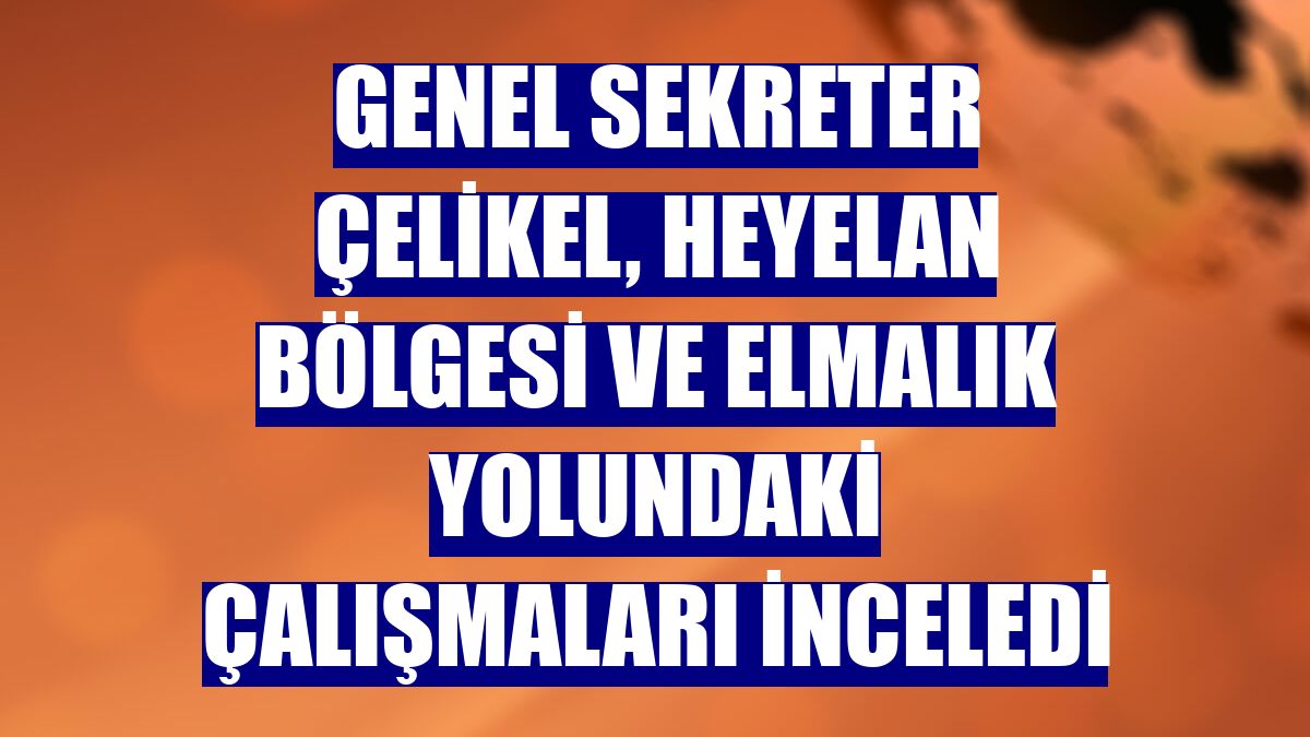 Genel Sekreter Çelikel, heyelan bölgesi ve Elmalık yolundaki çalışmaları inceledi