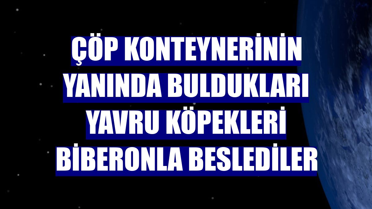 Çöp konteynerinin yanında buldukları yavru köpekleri biberonla beslediler