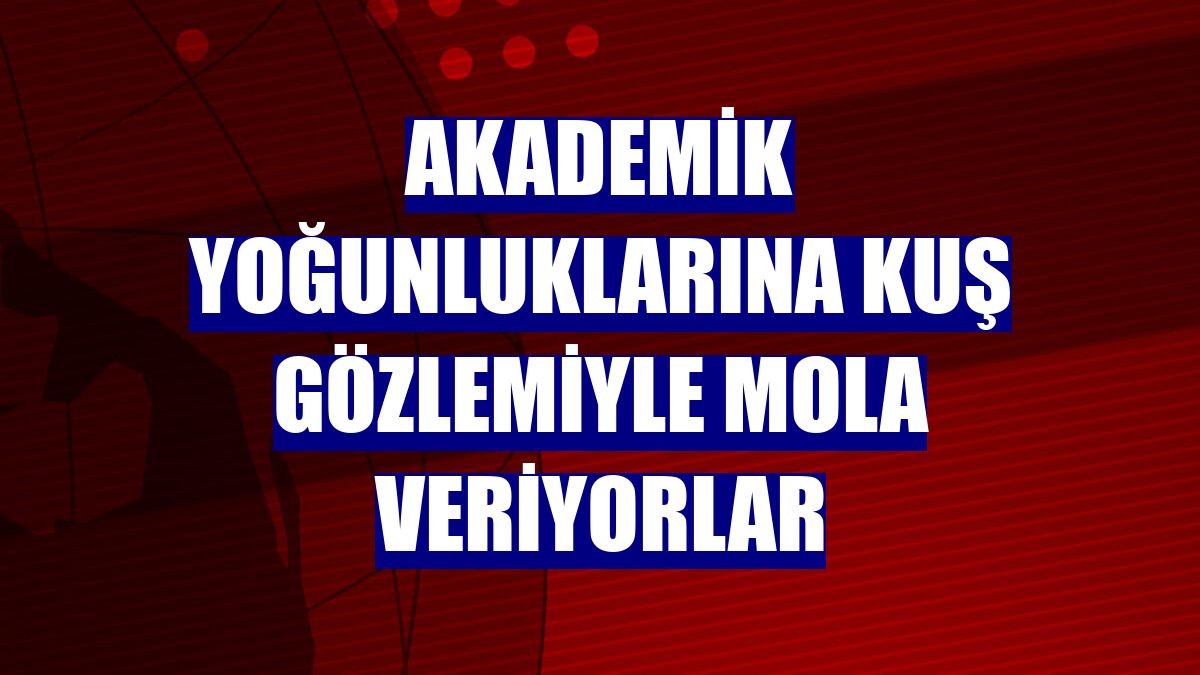 Akademik yoğunluklarına kuş gözlemiyle mola veriyorlar