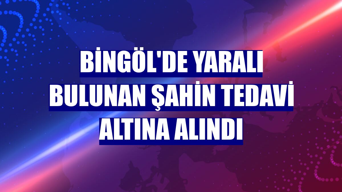 Bingöl'de yaralı bulunan şahin tedavi altına alındı