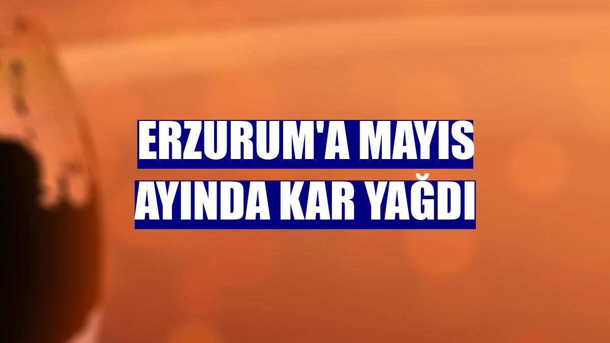 Erzurum'a mayıs ayında kar yağdı