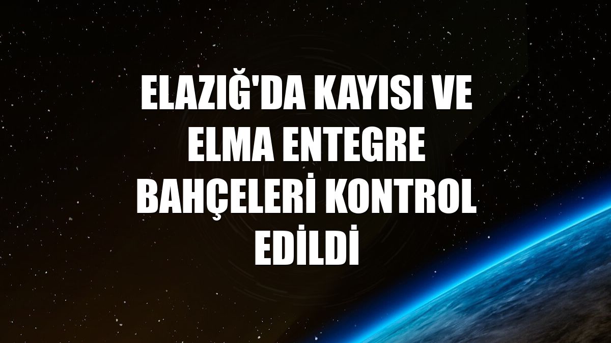 Elazığ'da kayısı ve elma entegre bahçeleri kontrol edildi
