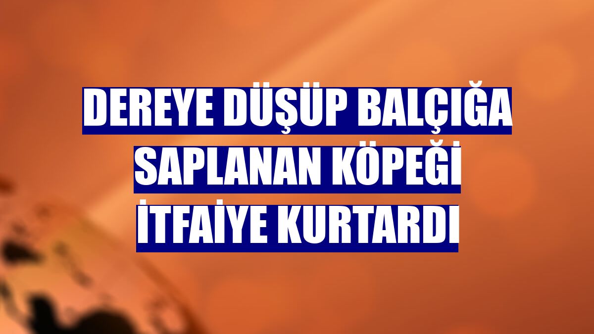 Dereye düşüp balçığa saplanan köpeği itfaiye kurtardı