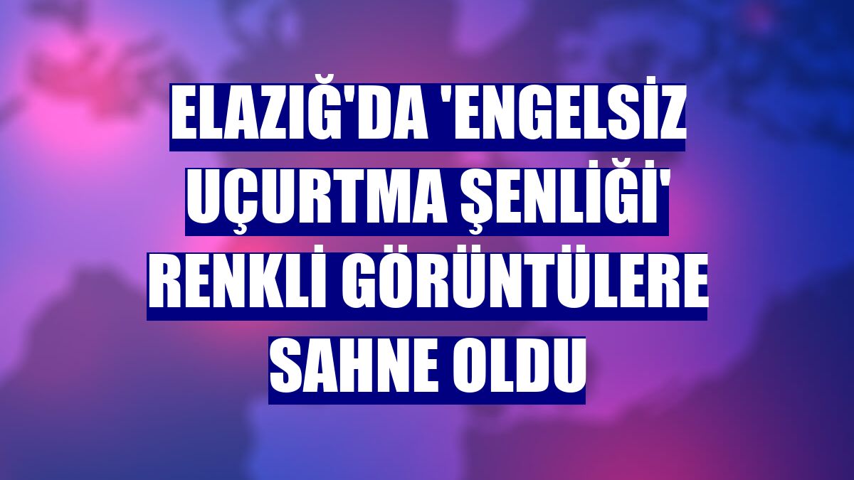Elazığ'da 'Engelsiz Uçurtma Şenliği' renkli görüntülere sahne oldu