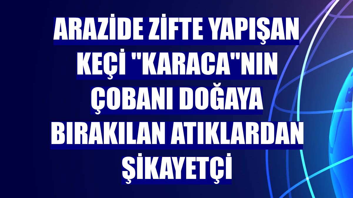 Arazide zifte yapışan keçi "Karaca"nın çobanı doğaya bırakılan atıklardan şikayetçi