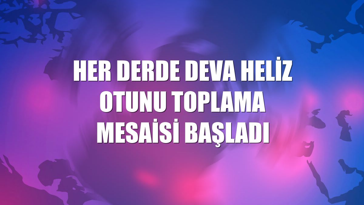 Her derde deva heliz otunu toplama mesaisi başladı