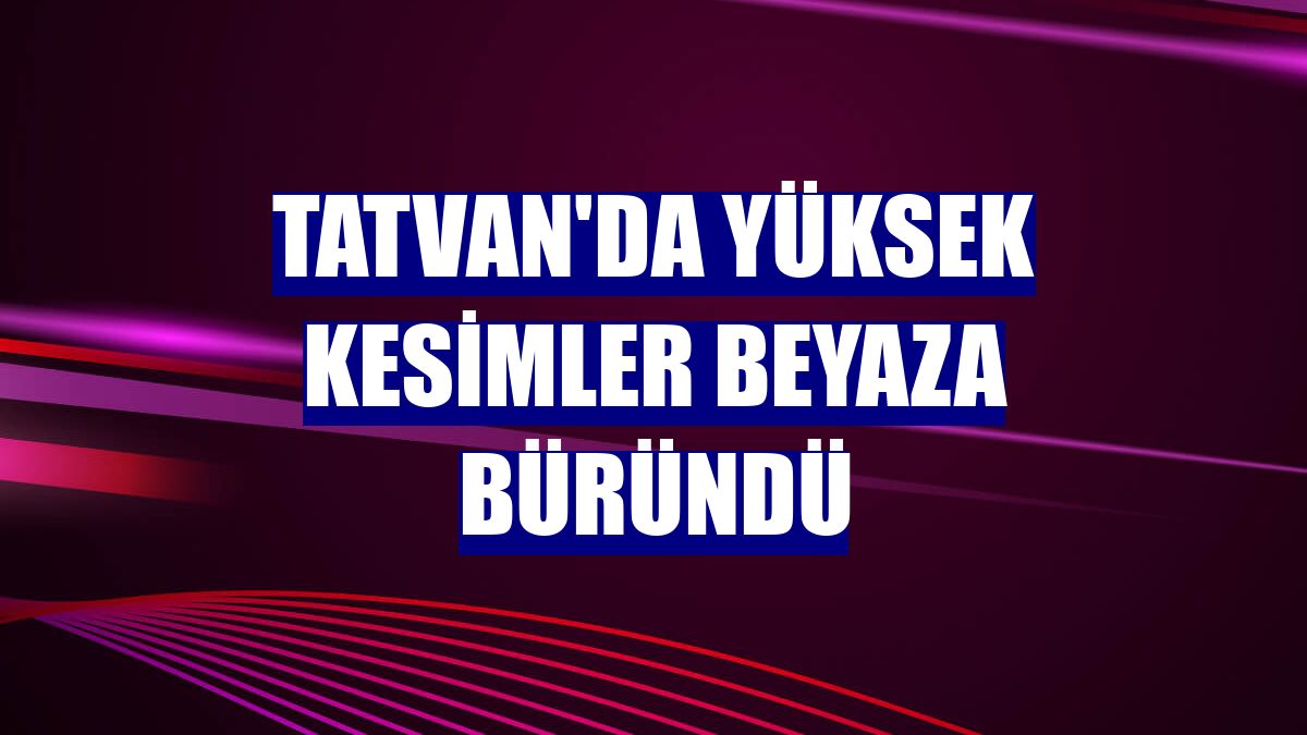 Tatvan'da yüksek kesimler beyaza büründü