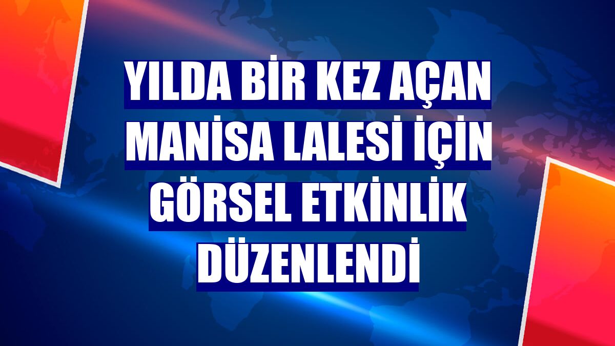 Yılda bir kez açan Manisa Lalesi için görsel etkinlik düzenlendi
