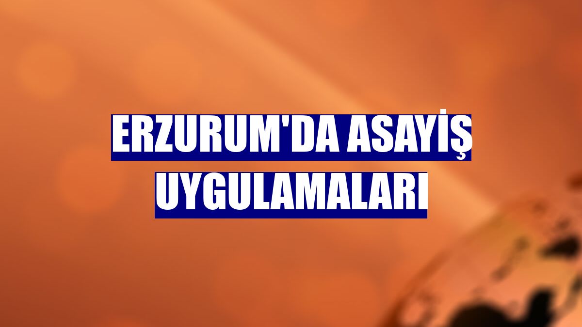 Erzurum'da asayiş uygulamaları