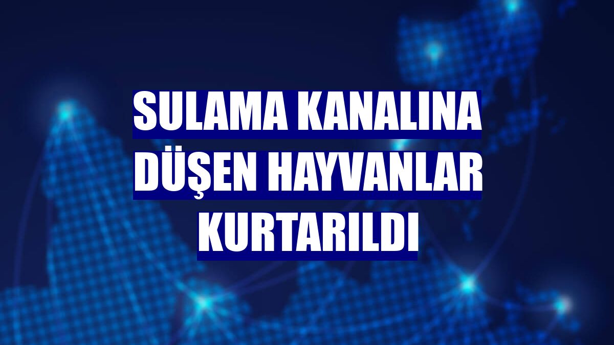 Sulama kanalına düşen hayvanlar kurtarıldı