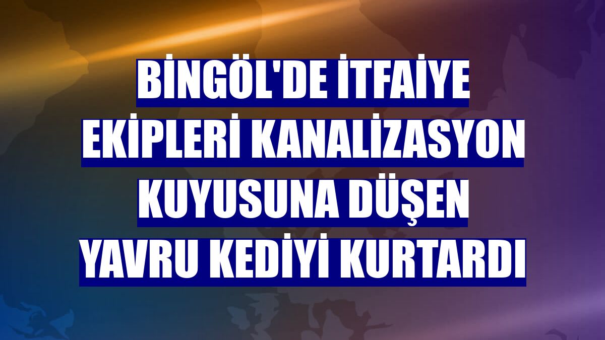 Bingöl'de itfaiye ekipleri kanalizasyon kuyusuna düşen yavru kediyi kurtardı