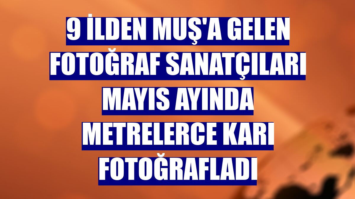 9 ilden Muş'a gelen fotoğraf sanatçıları mayıs ayında metrelerce karı fotoğrafladı