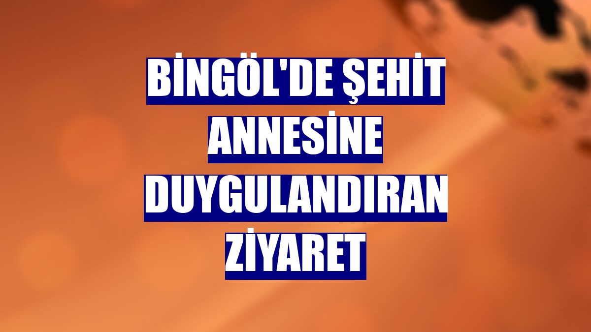 Bingöl'de şehit annesine duygulandıran ziyaret