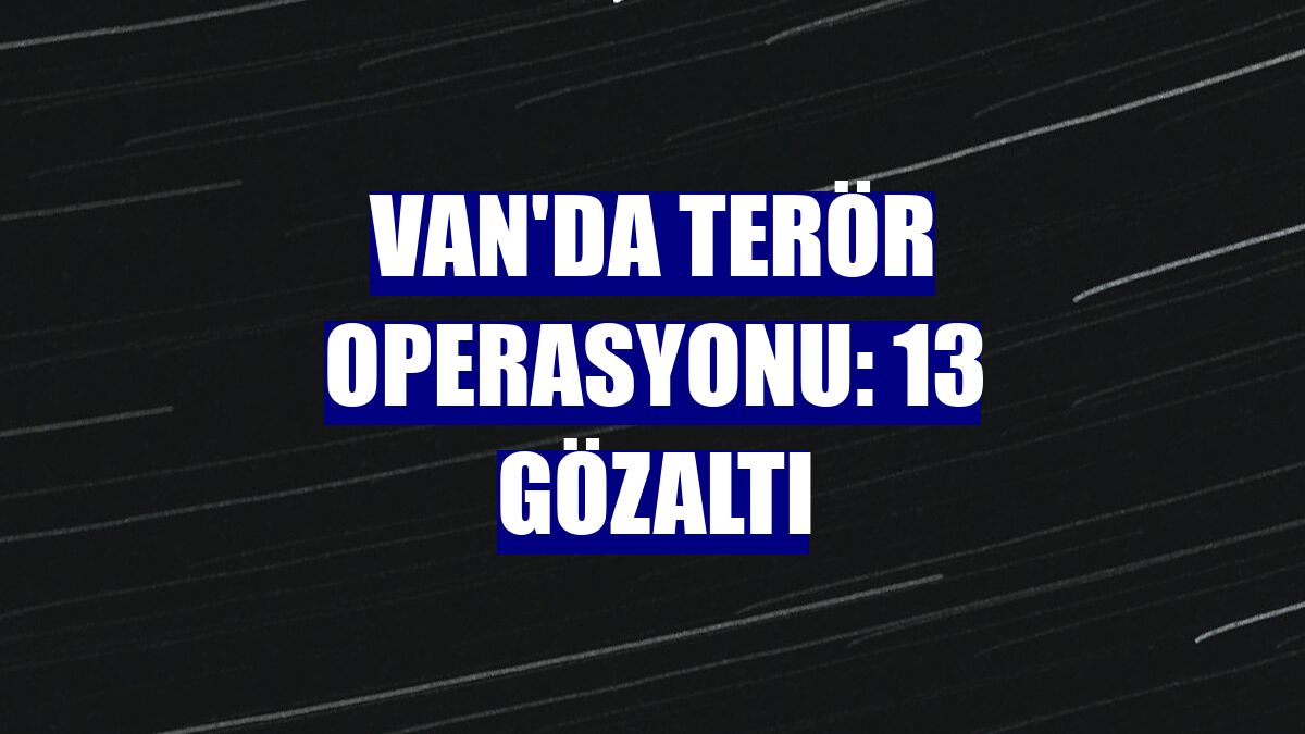 Van'da terör operasyonu: 13 gözaltı