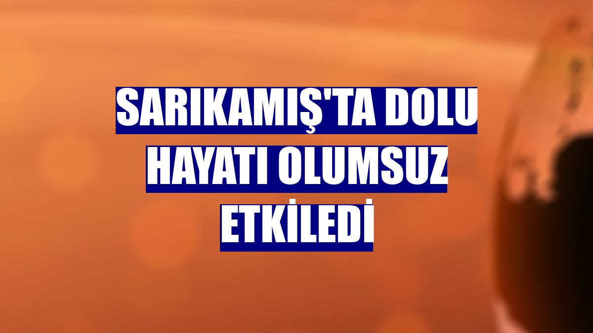 Sarıkamış'ta dolu hayatı olumsuz etkiledi