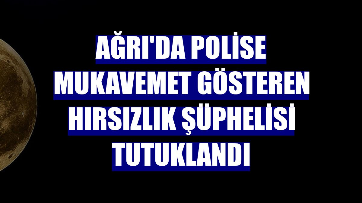Ağrı'da polise mukavemet gösteren hırsızlık şüphelisi tutuklandı