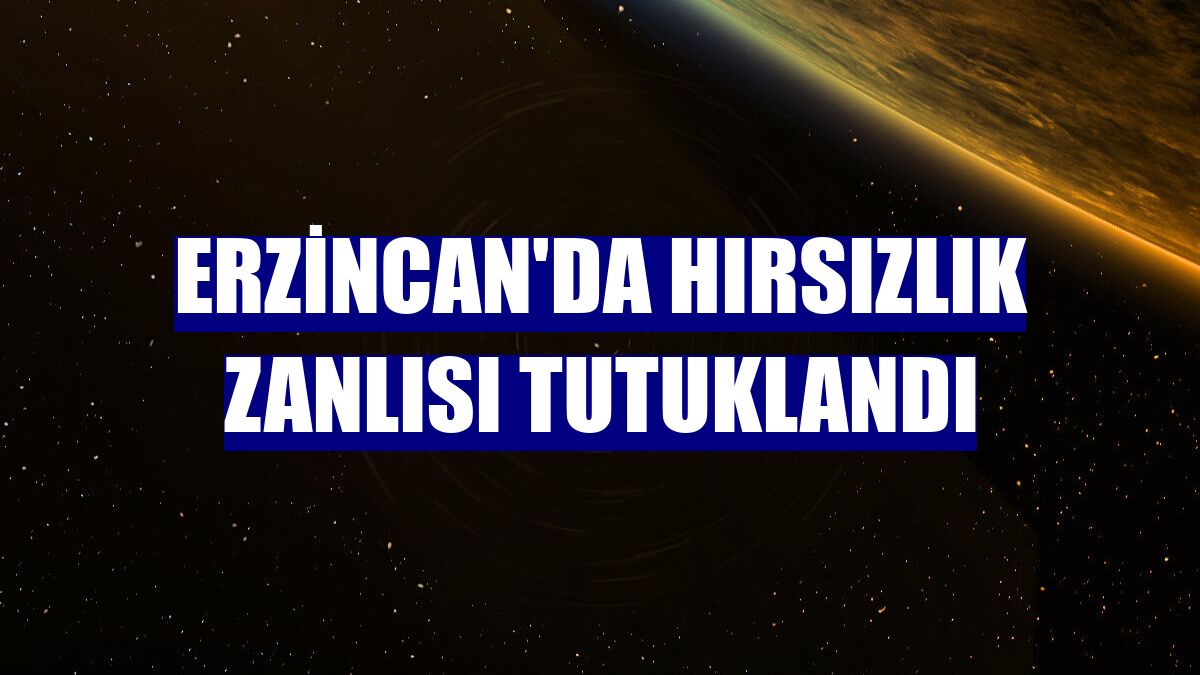 Erzincan'da hırsızlık zanlısı tutuklandı