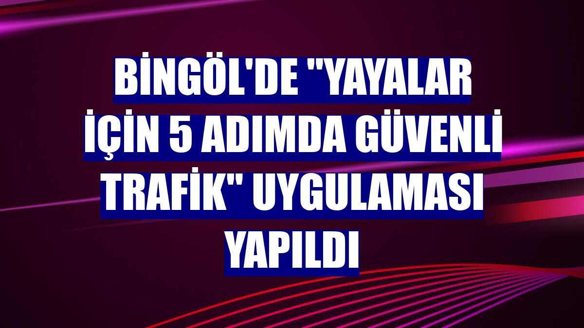 Bingöl'de 'Yayalar için 5 adımda güvenli trafik' uygulaması yapıldı