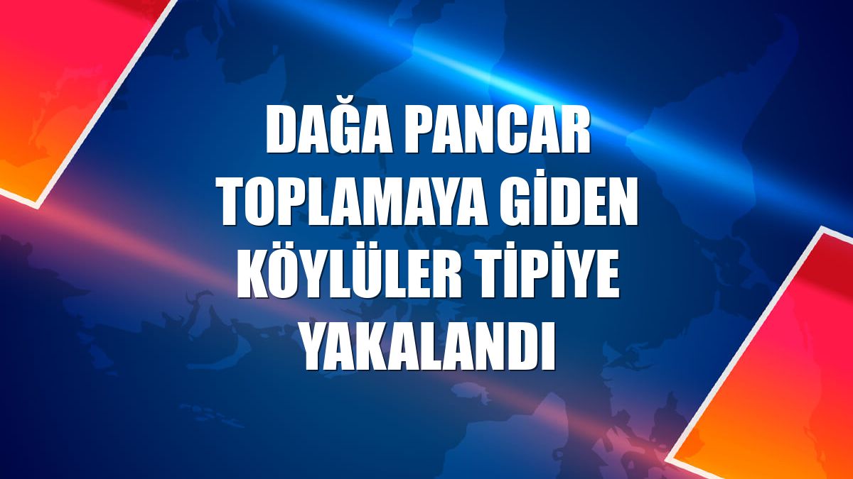 Dağa pancar toplamaya giden köylüler tipiye yakalandı