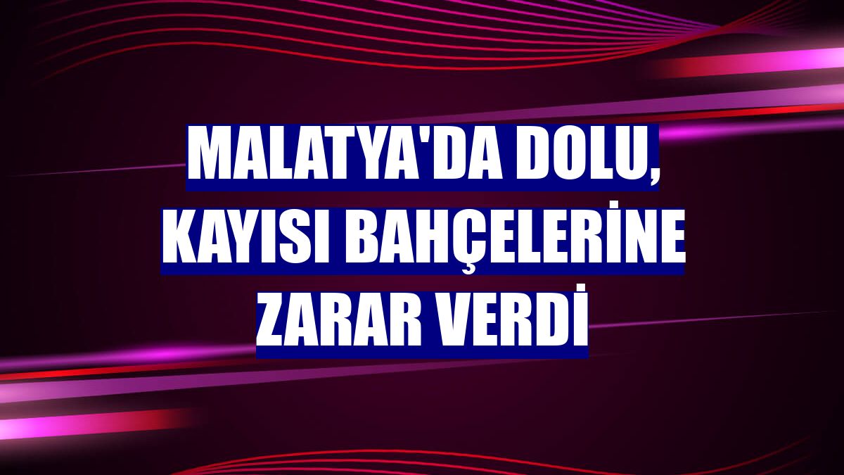 Malatya'da dolu, kayısı bahçelerine zarar verdi
