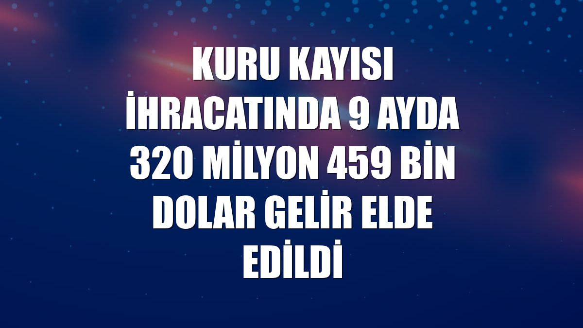 Kuru kayısı ihracatında 9 ayda 320 milyon 459 bin dolar gelir elde edildi