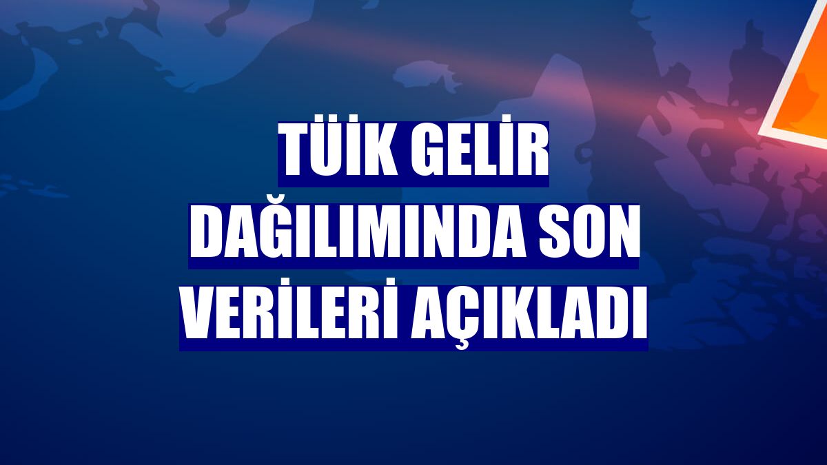 TÜİK gelir dağılımında son verileri açıkladı
