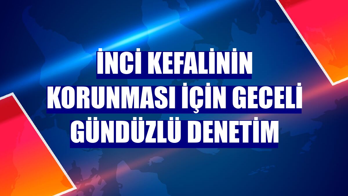 İnci kefalinin korunması için geceli gündüzlü denetim