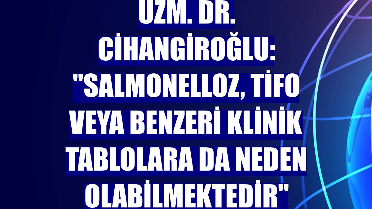 Uzm. Dr. Cihangiroğlu: "Salmonelloz, tifo veya benzeri klinik tablolara da neden olabilmektedir"