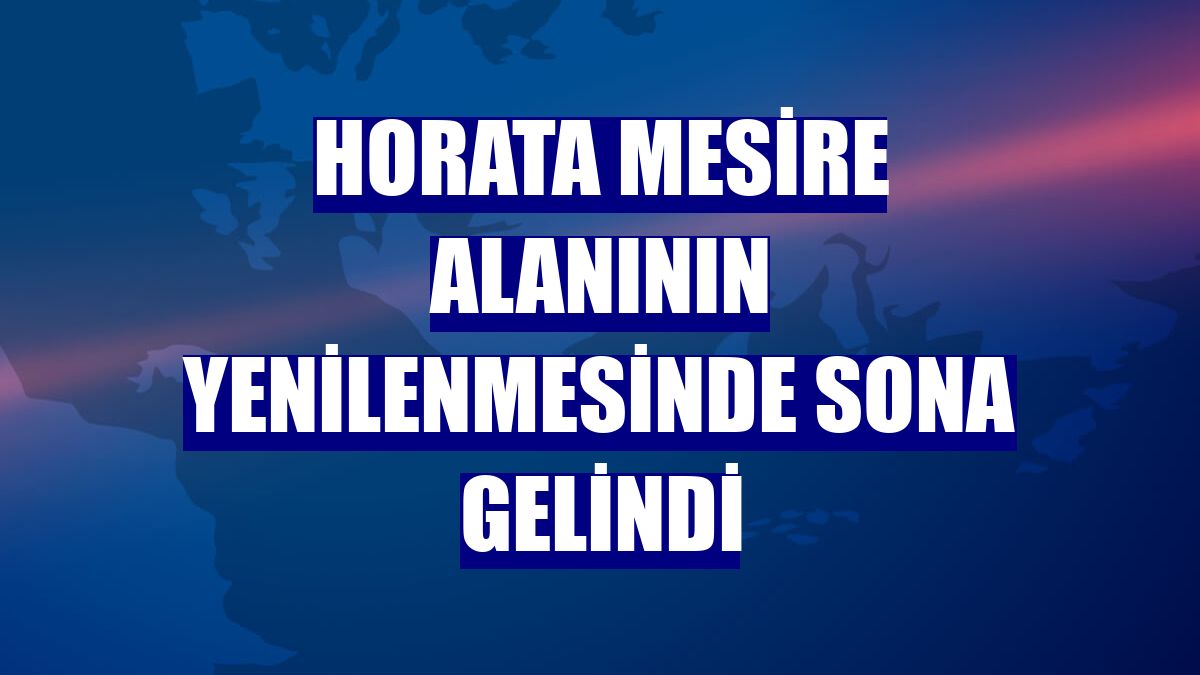 Horata Mesire alanının yenilenmesinde sona gelindi