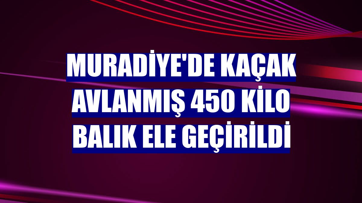 Muradiye'de kaçak avlanmış 450 kilo balık ele geçirildi