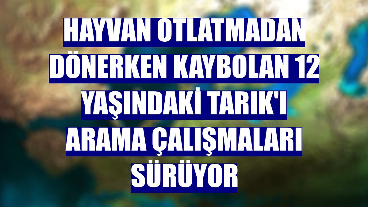 Hayvan otlatmadan dönerken kaybolan 12 yaşındaki Tarık'ı arama çalışmaları sürüyor