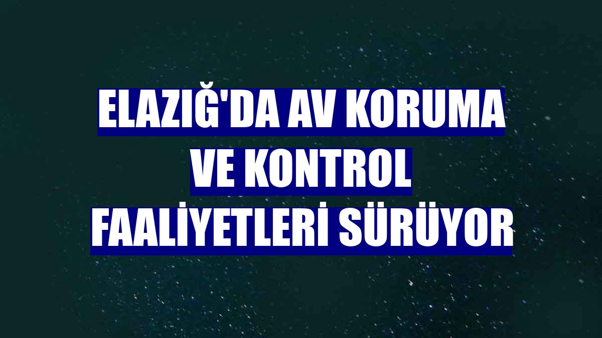 Elazığ'da av koruma ve kontrol faaliyetleri sürüyor