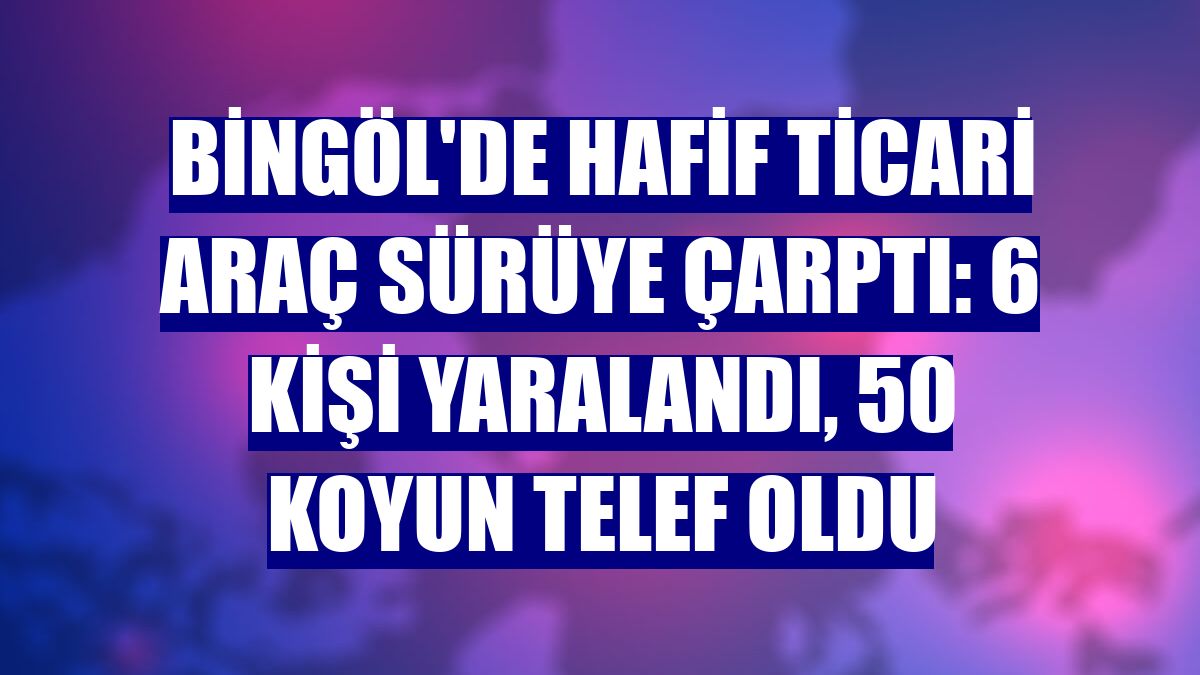 Bingöl'de hafif ticari araç sürüye çarptı: 6 kişi yaralandı, 50 koyun telef oldu
