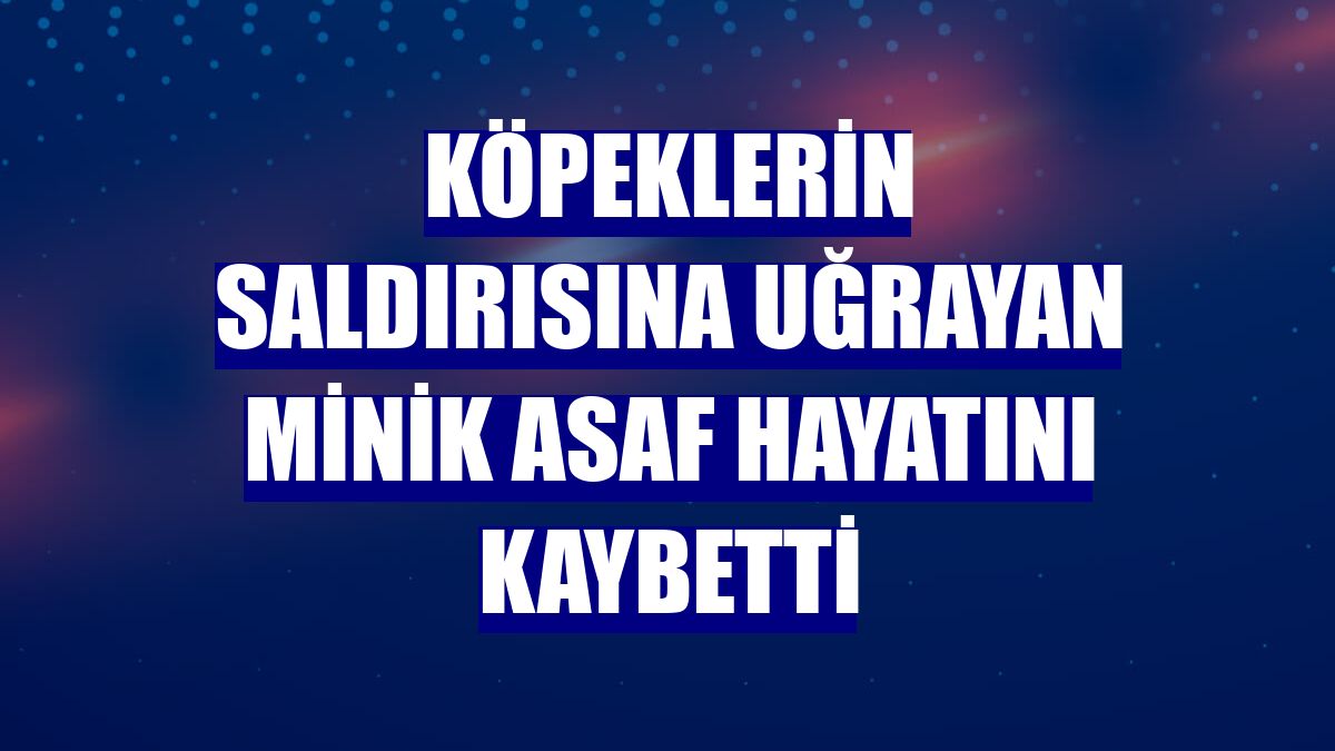 Köpeklerin saldırısına uğrayan minik Asaf hayatını kaybetti
